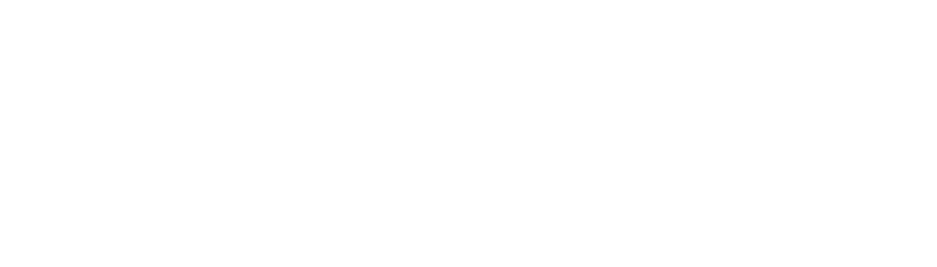 zest-logo-investitori